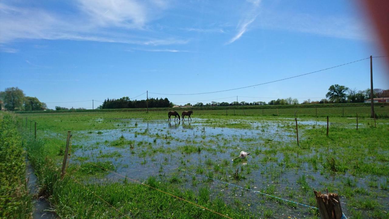 Pensjonat Les Prairies Mas Roux Raphèle Zewnętrze zdjęcie